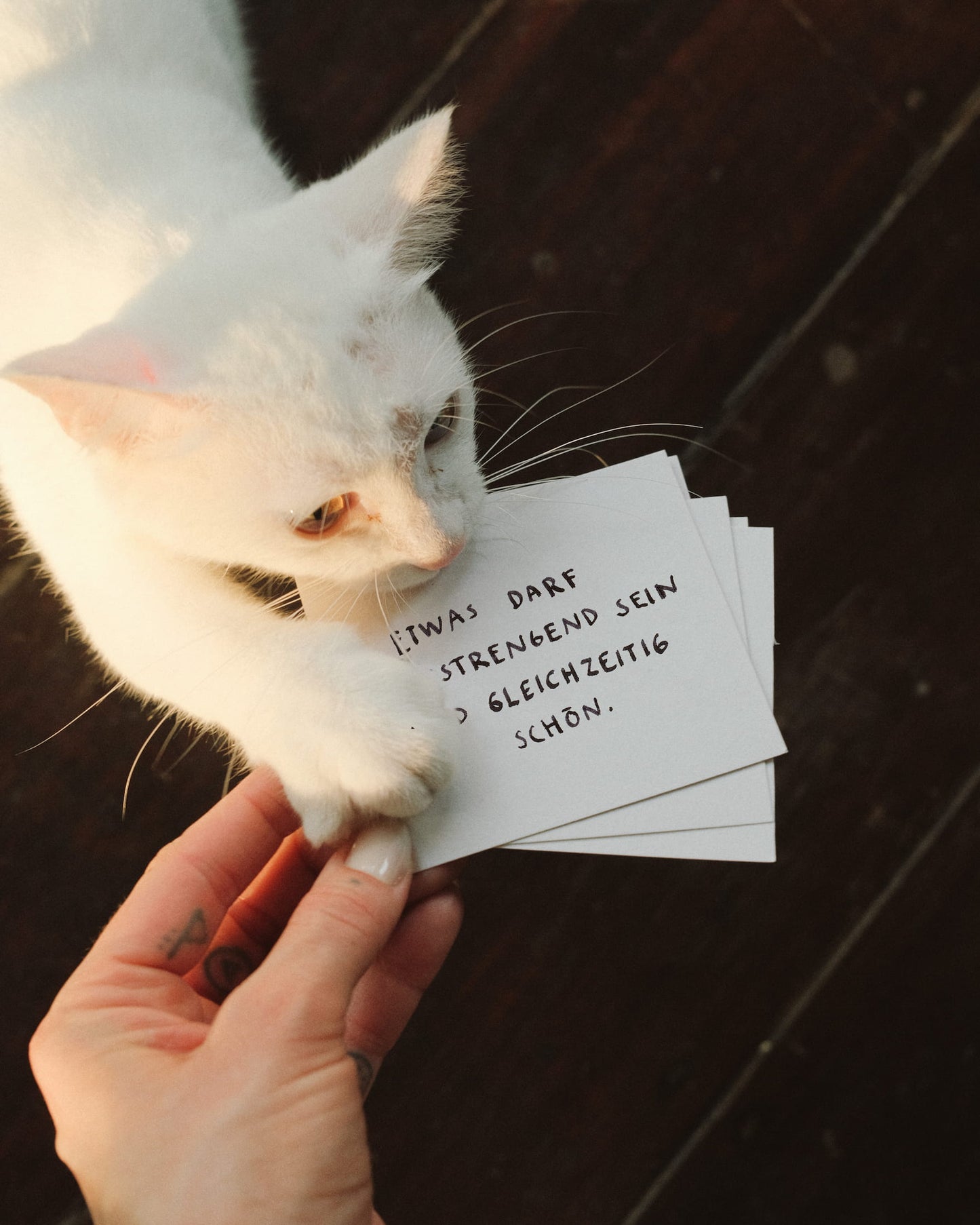 A3 | GEFÜHLE SIND NICHT EXKLUSIV | 2-in-1